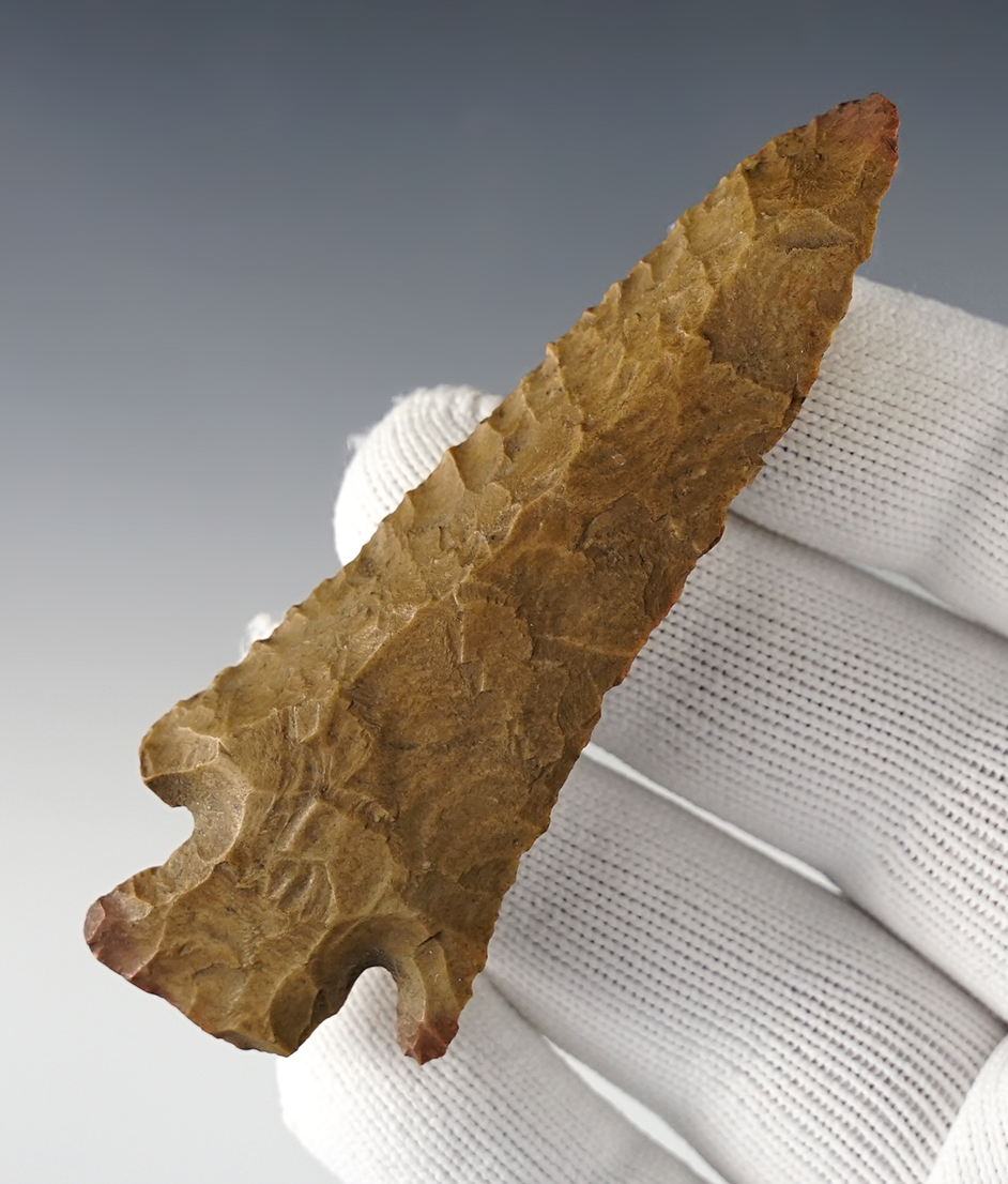 Main artifact image