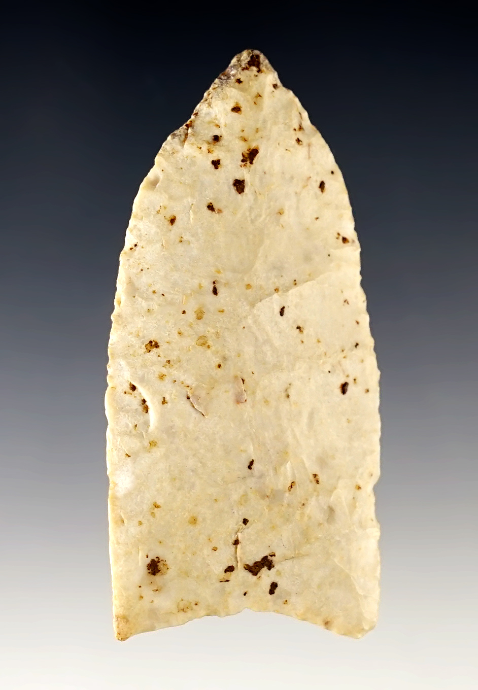 Main artifact image