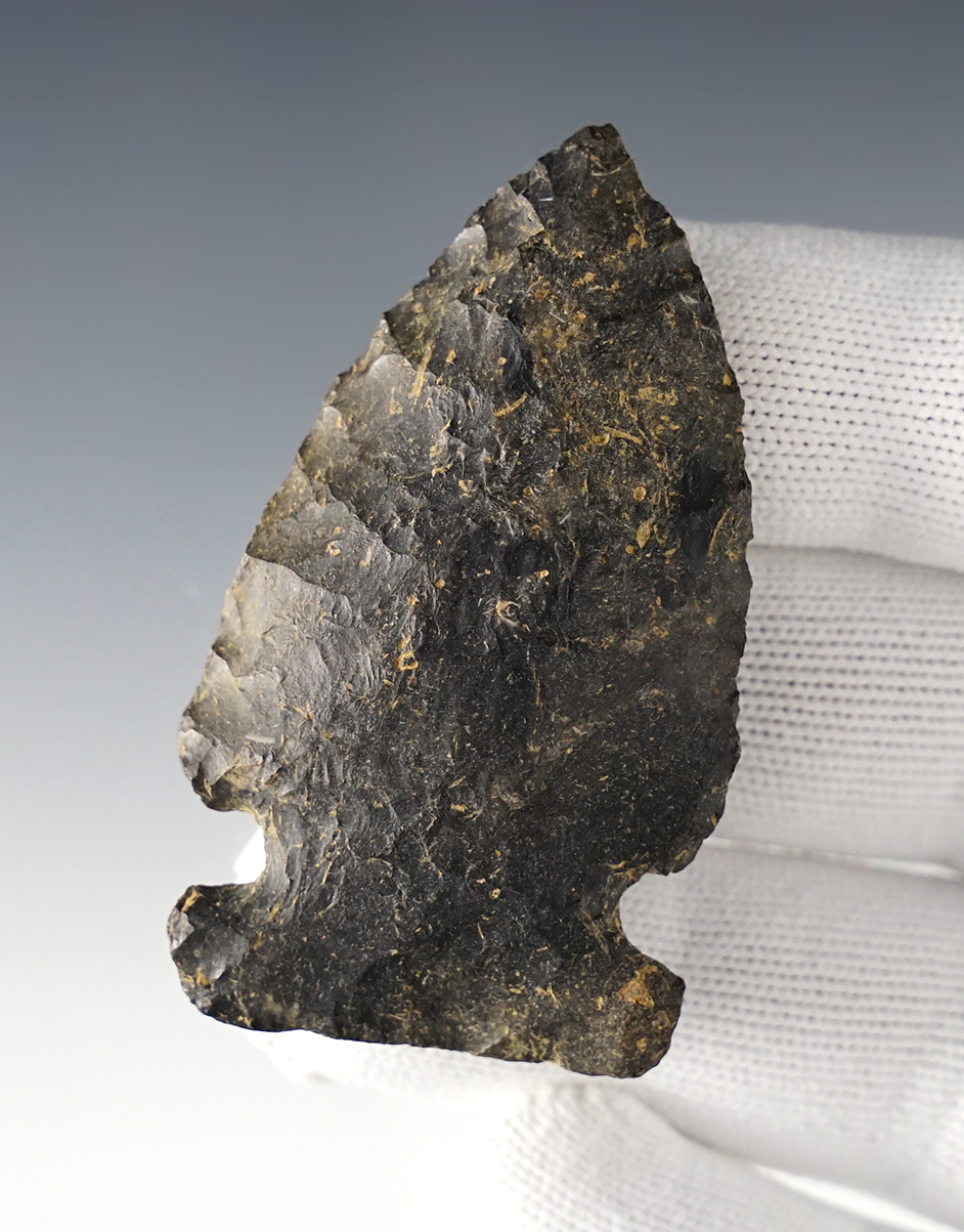 Main artifact image