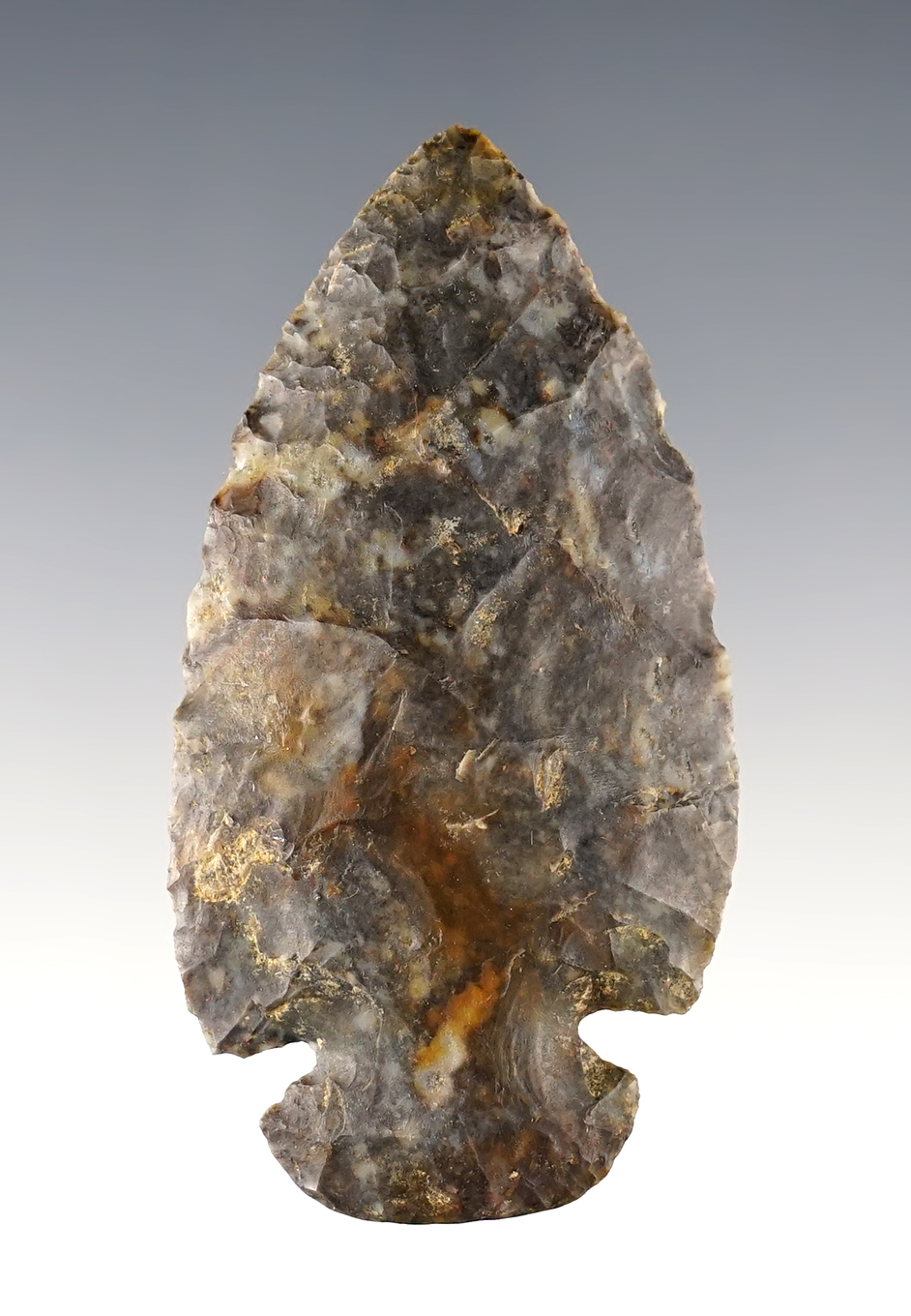 Main artifact image