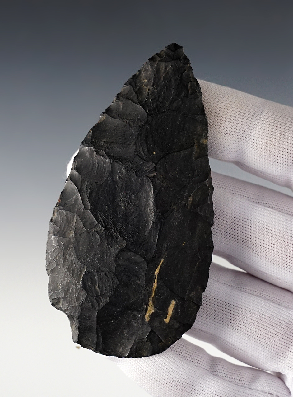 Main artifact image