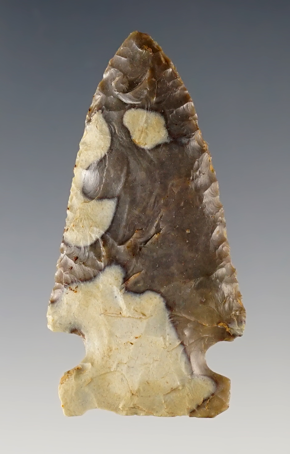 Main artifact image