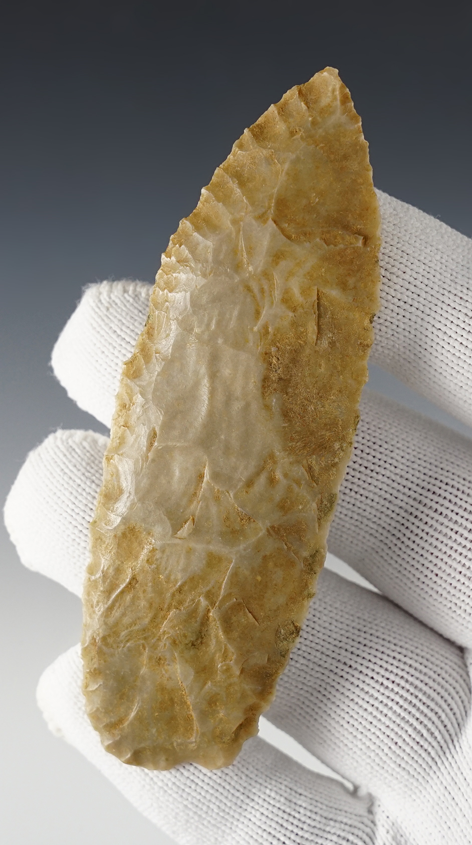 Main artifact image