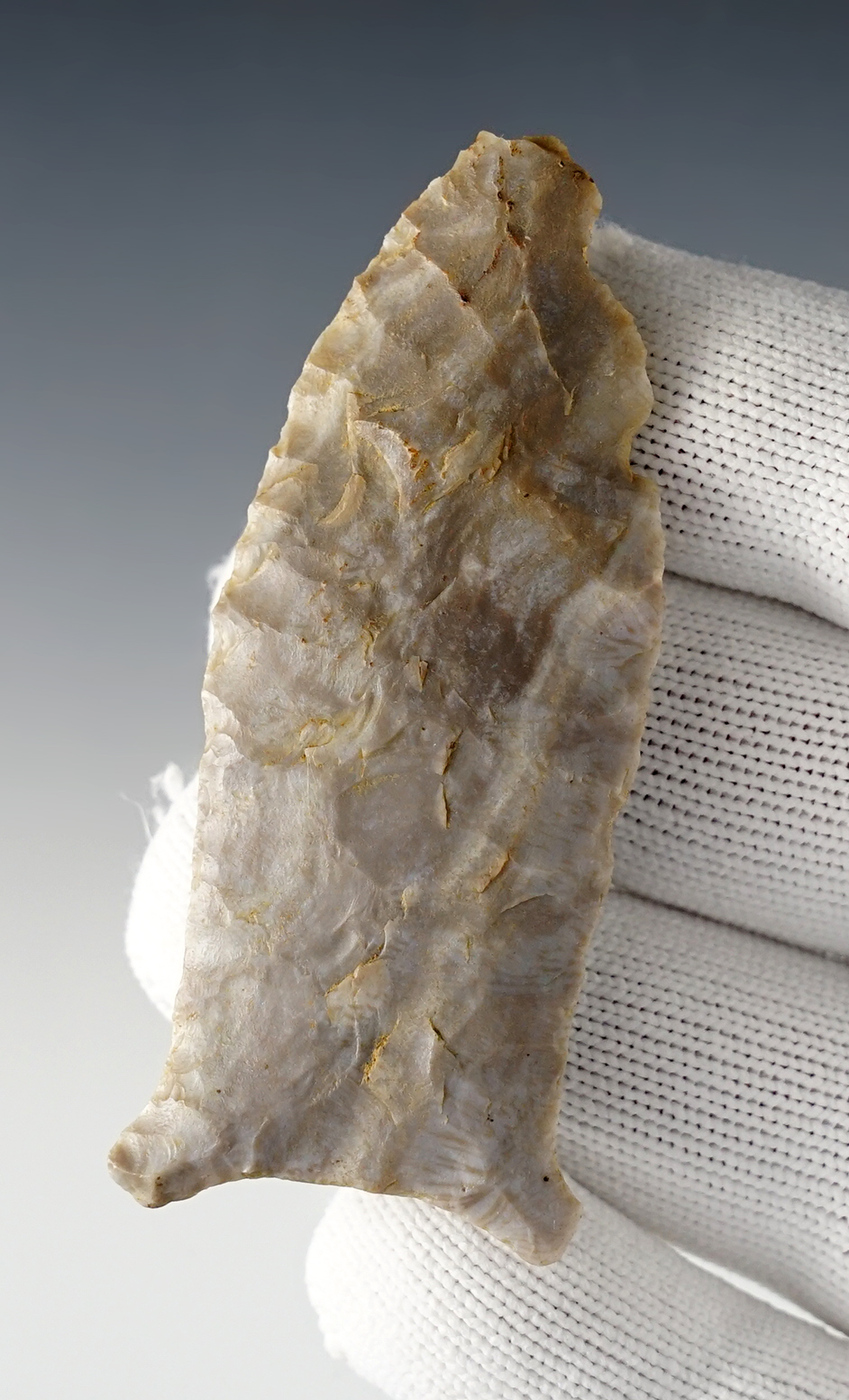 Main artifact image