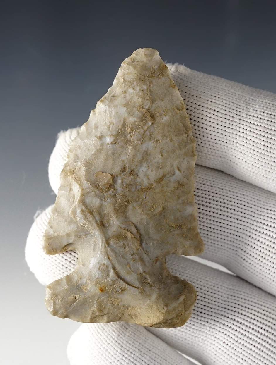 Main artifact image
