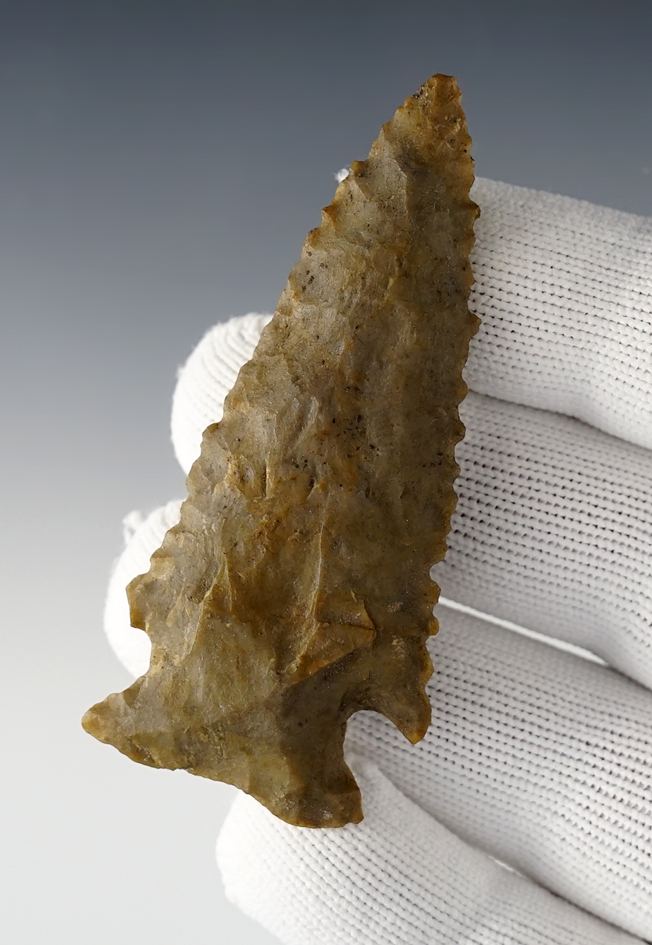 Main artifact image