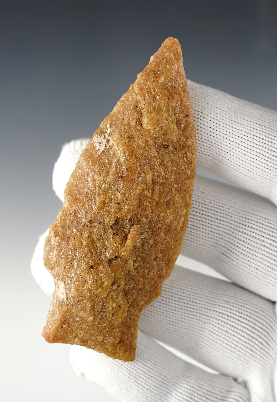 Main artifact image
