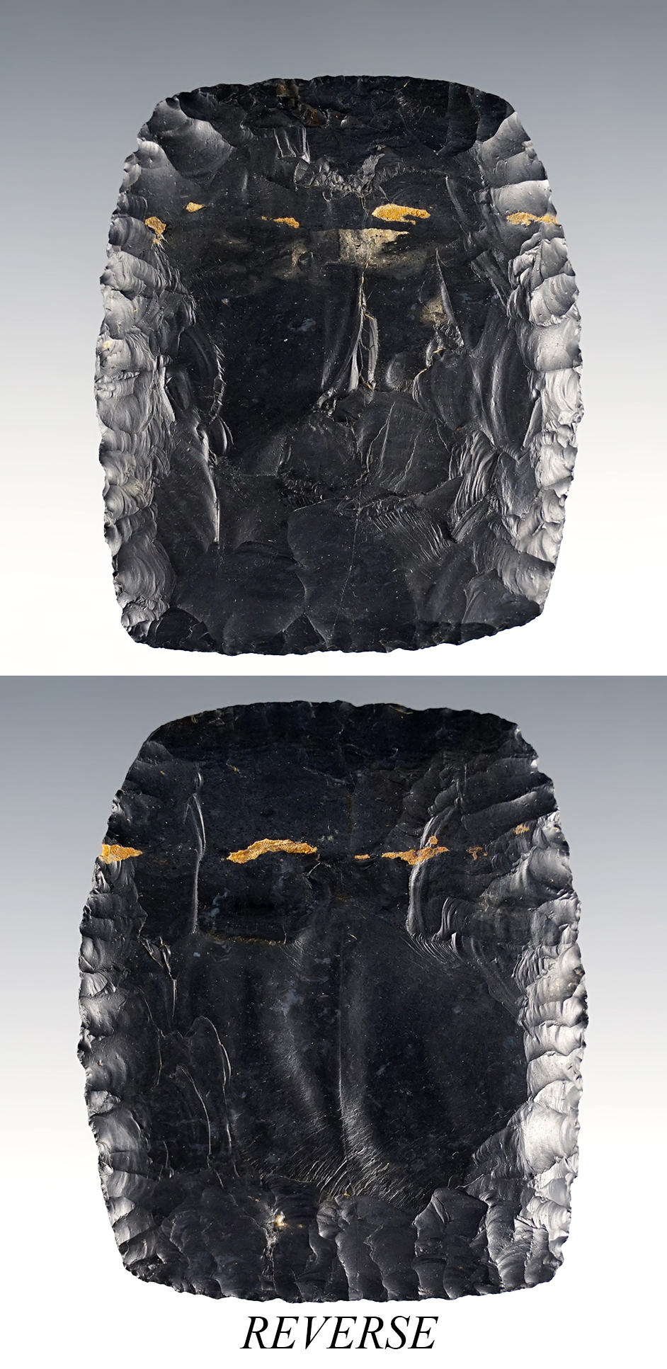 Main artifact image