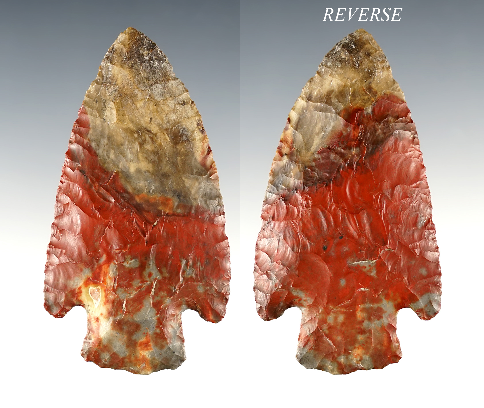 Main artifact image