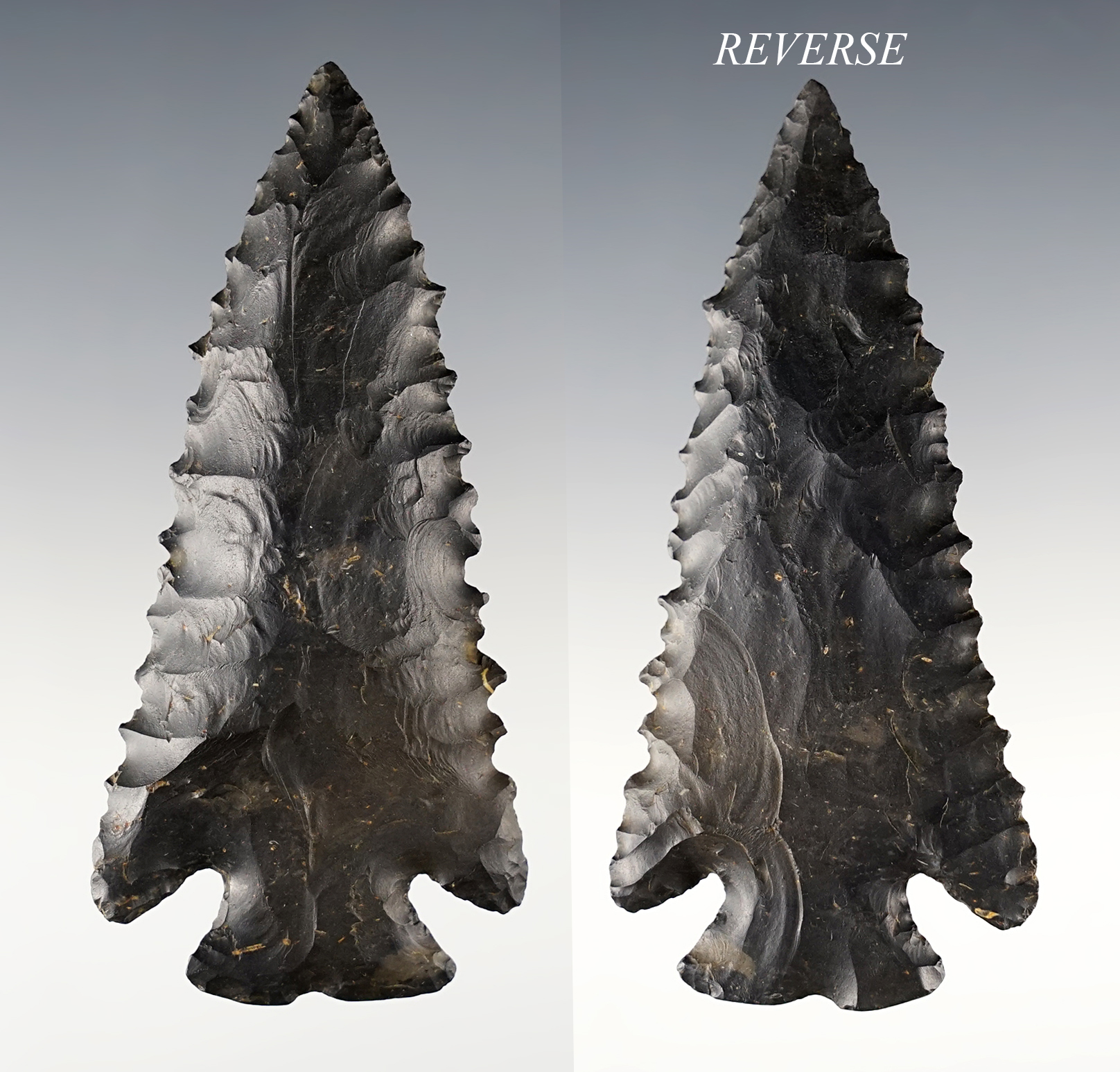 Main artifact image