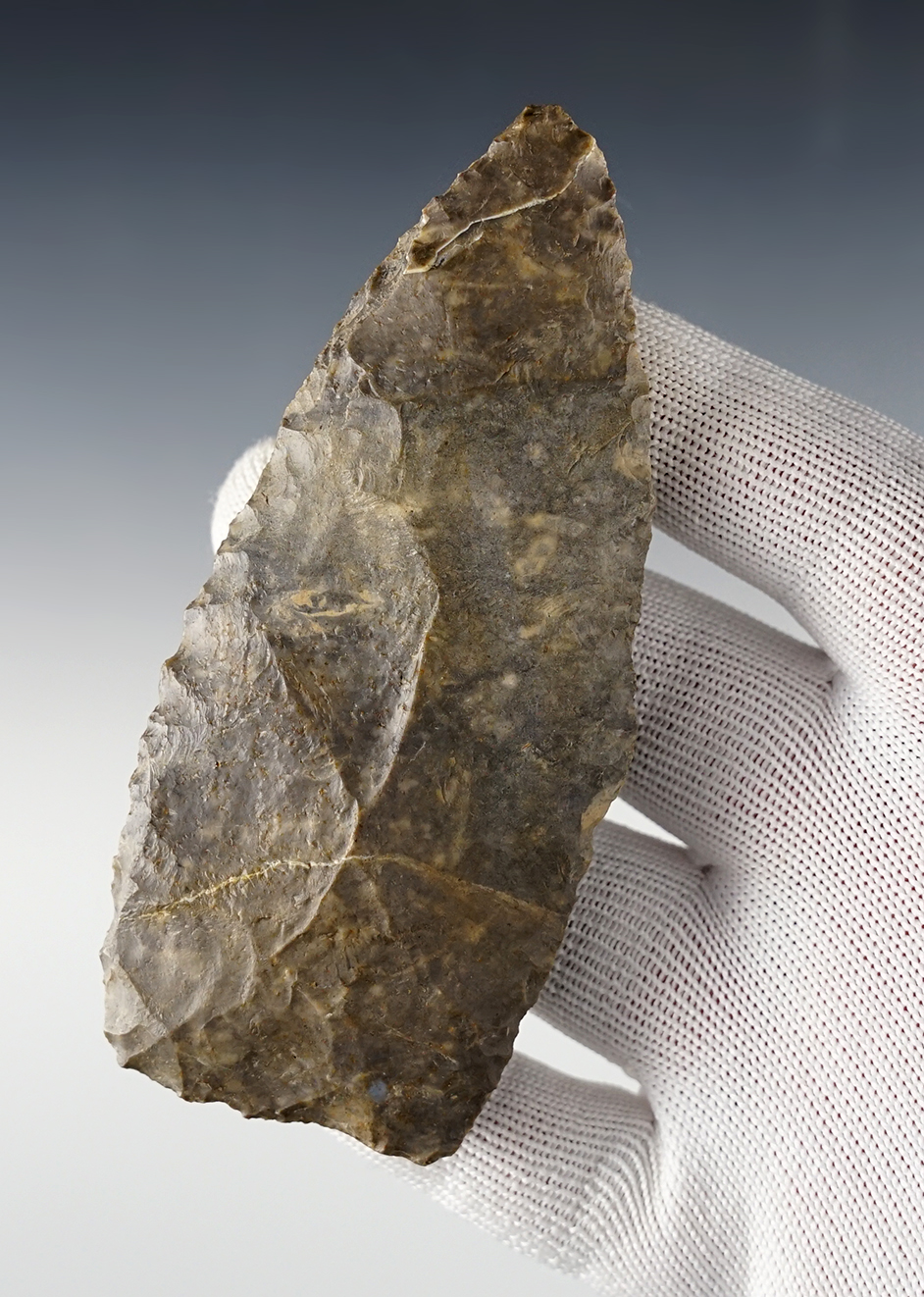 Main artifact image