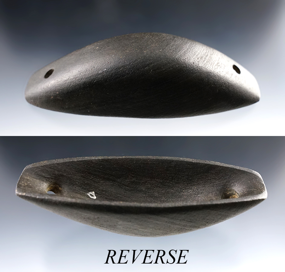 Main artifact image