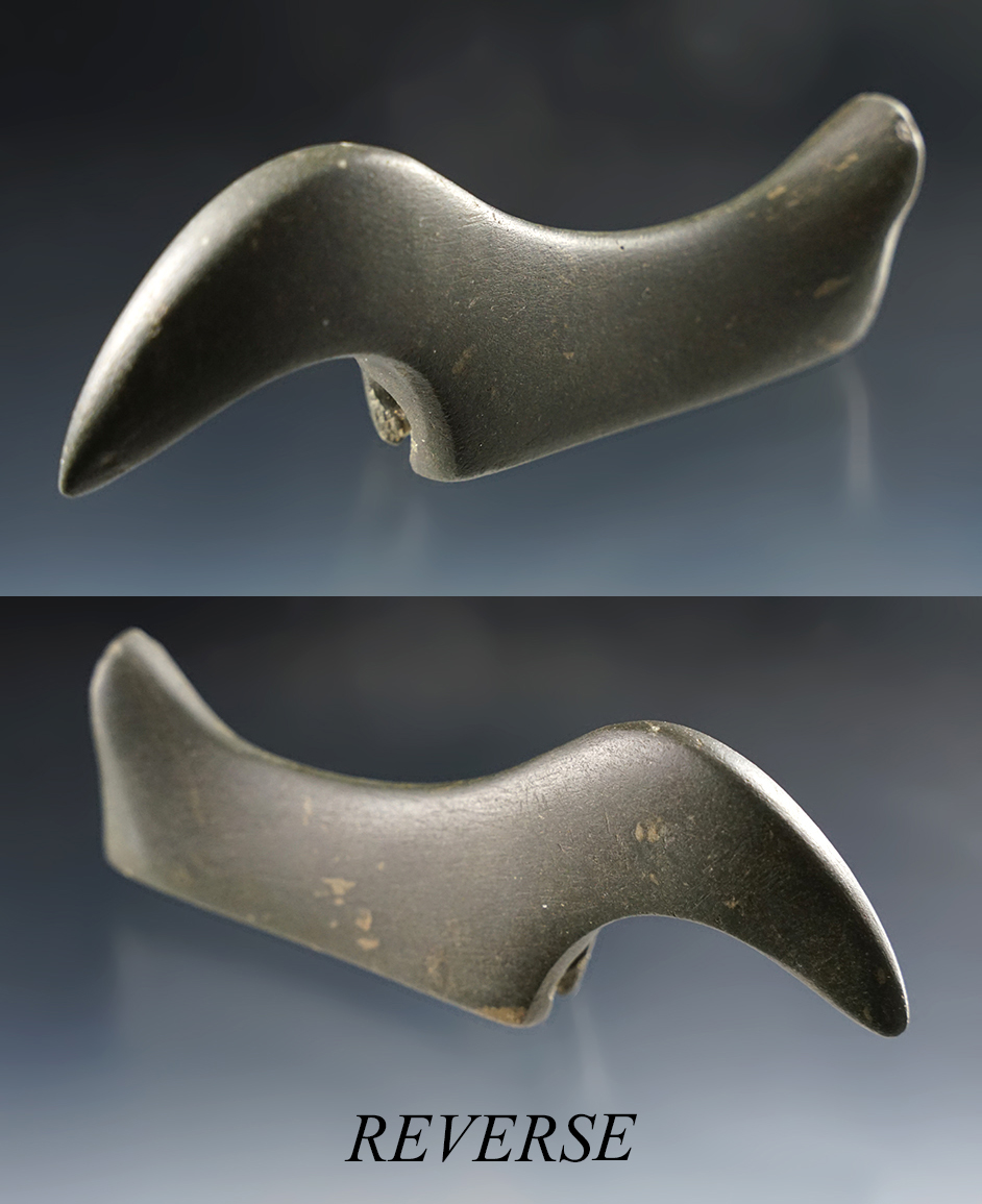 Main artifact image