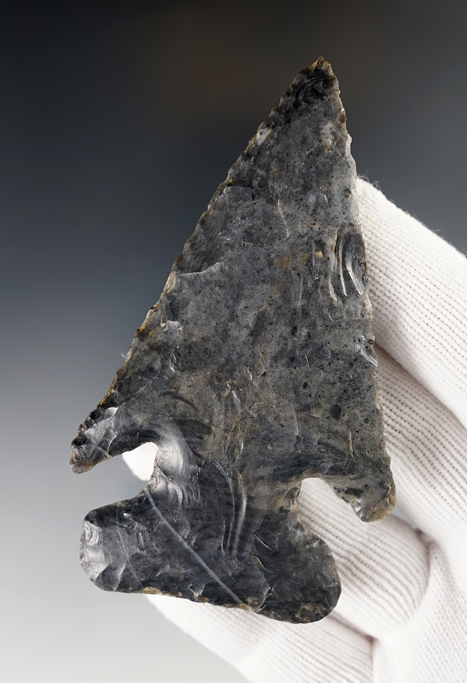 Main artifact image