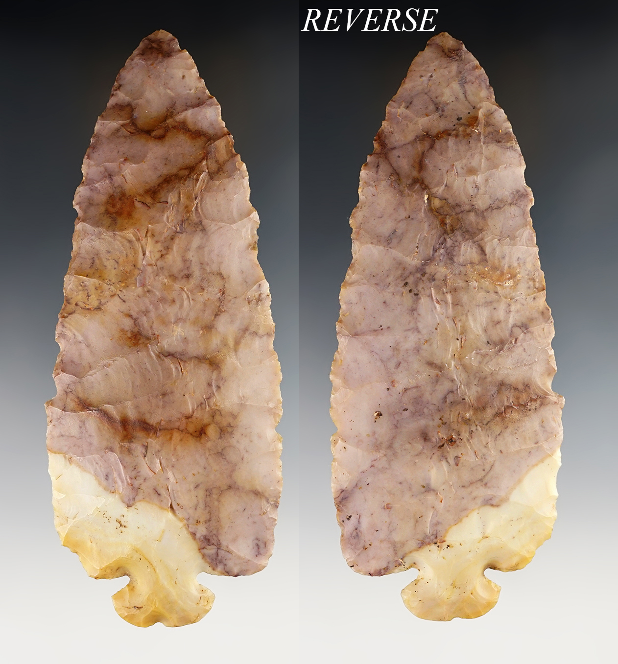 Main artifact image