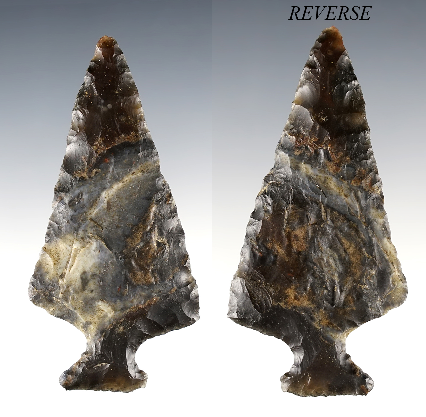Main artifact image