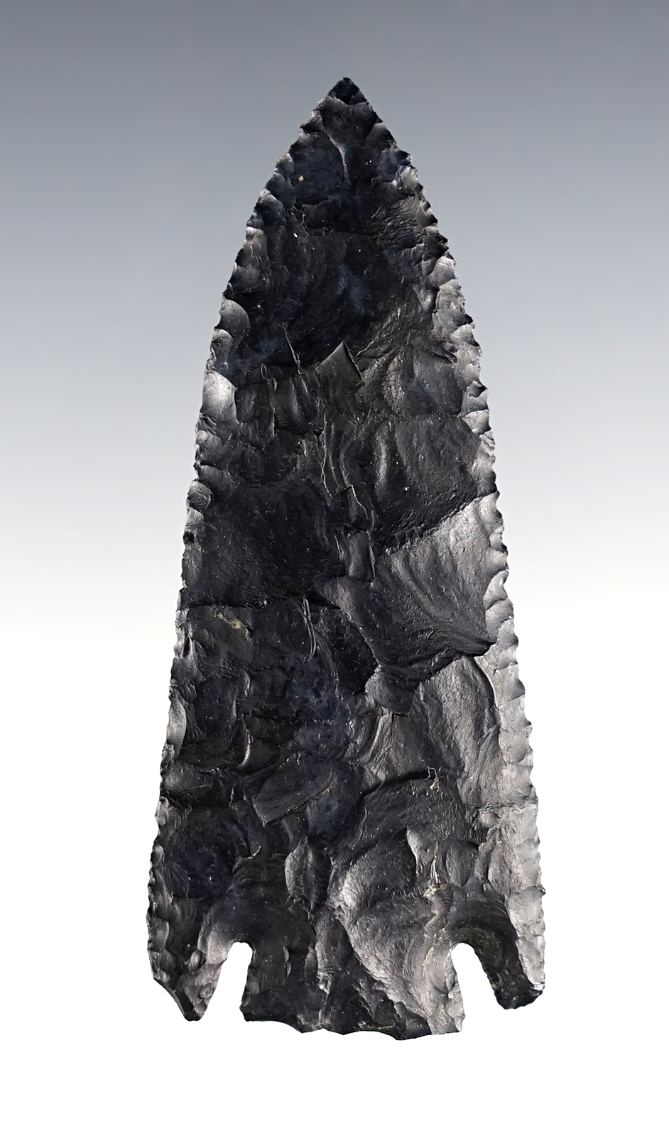Main artifact image
