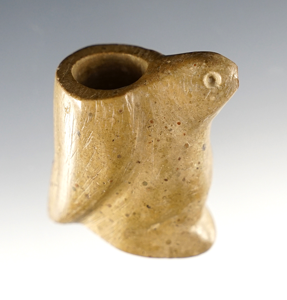 Main artifact image