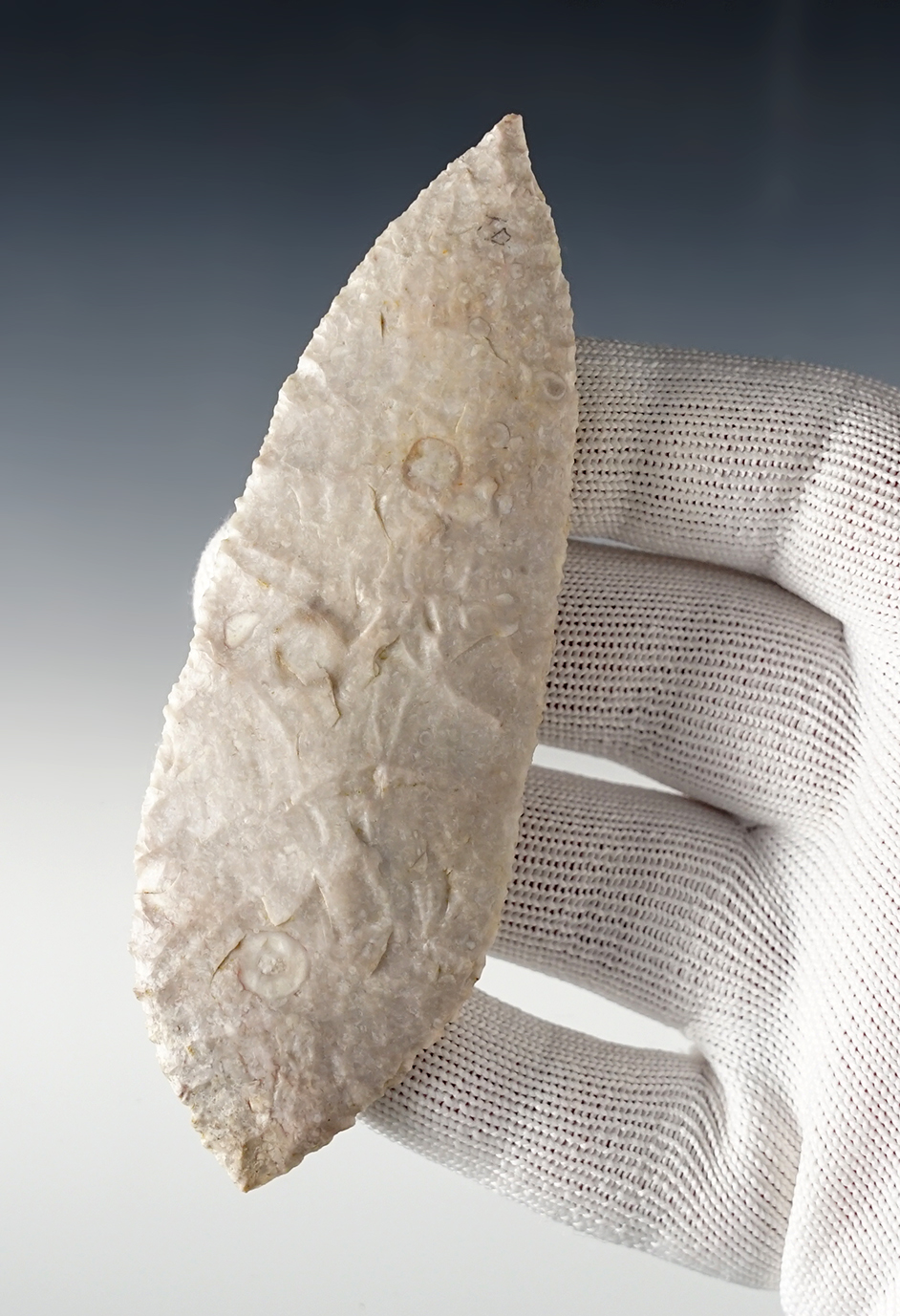 Main artifact image