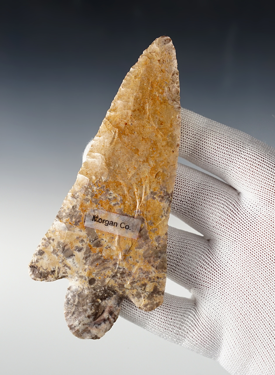 Main artifact image
