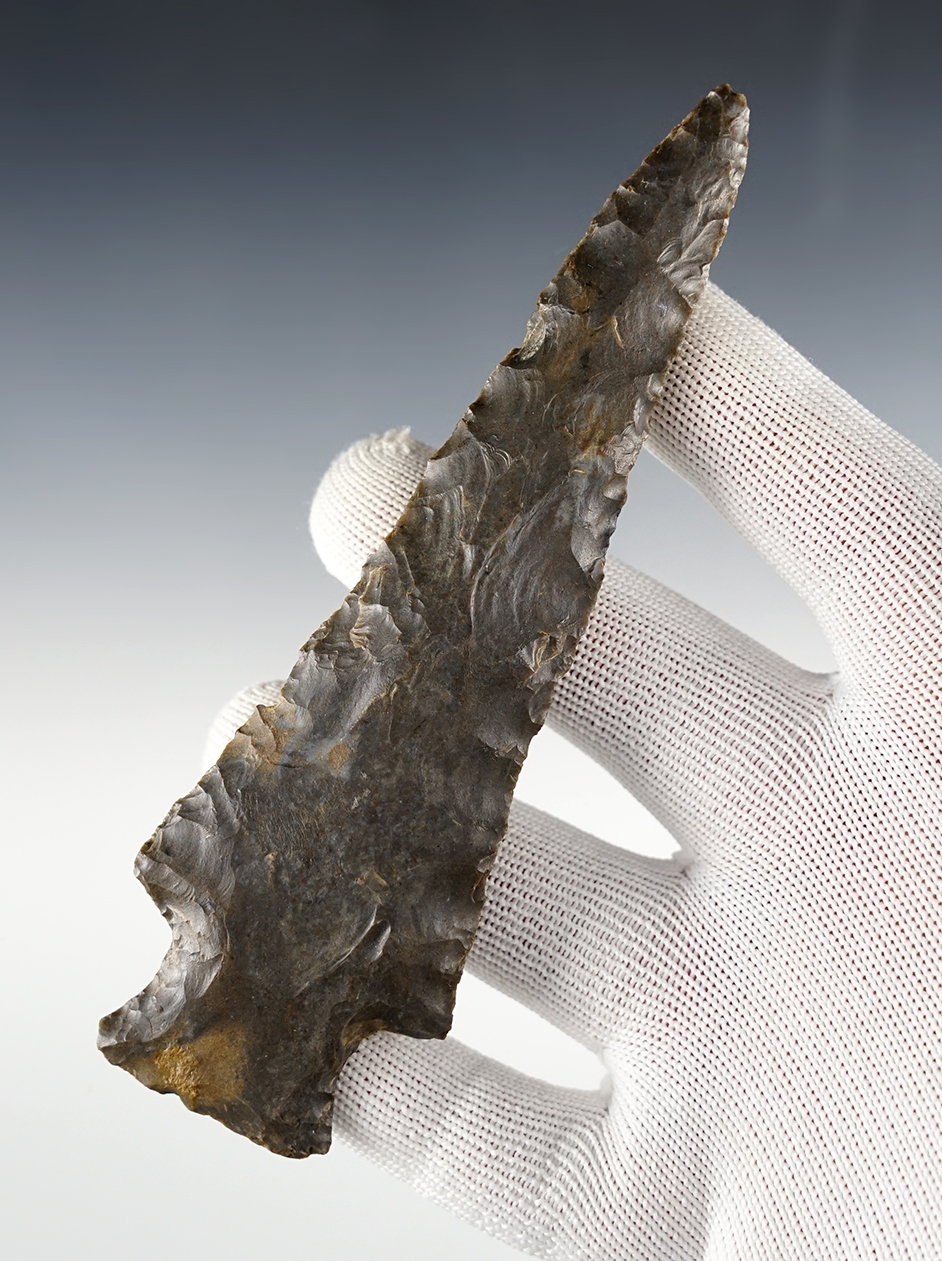 Main artifact image