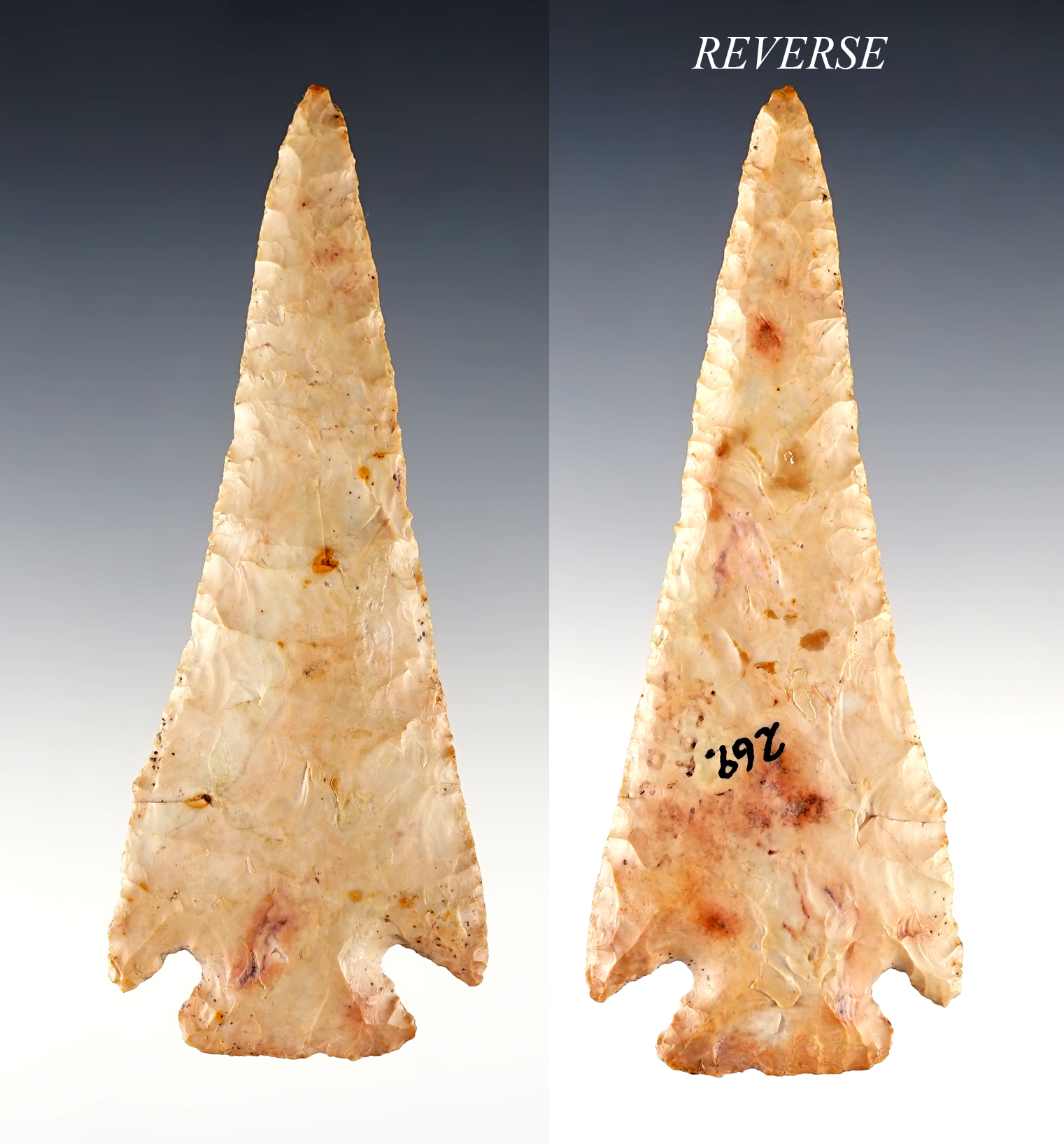 Main artifact image