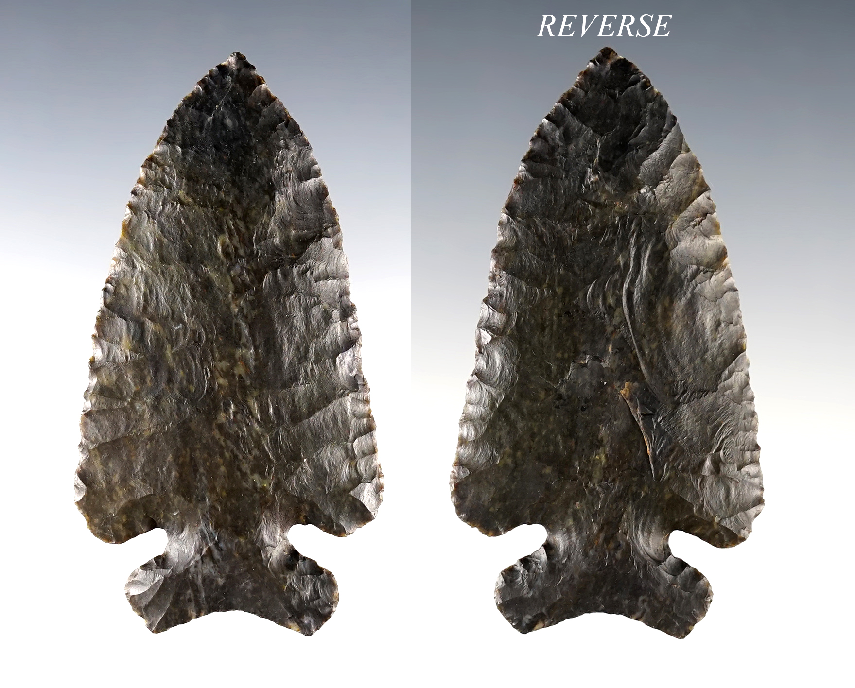 Main artifact image