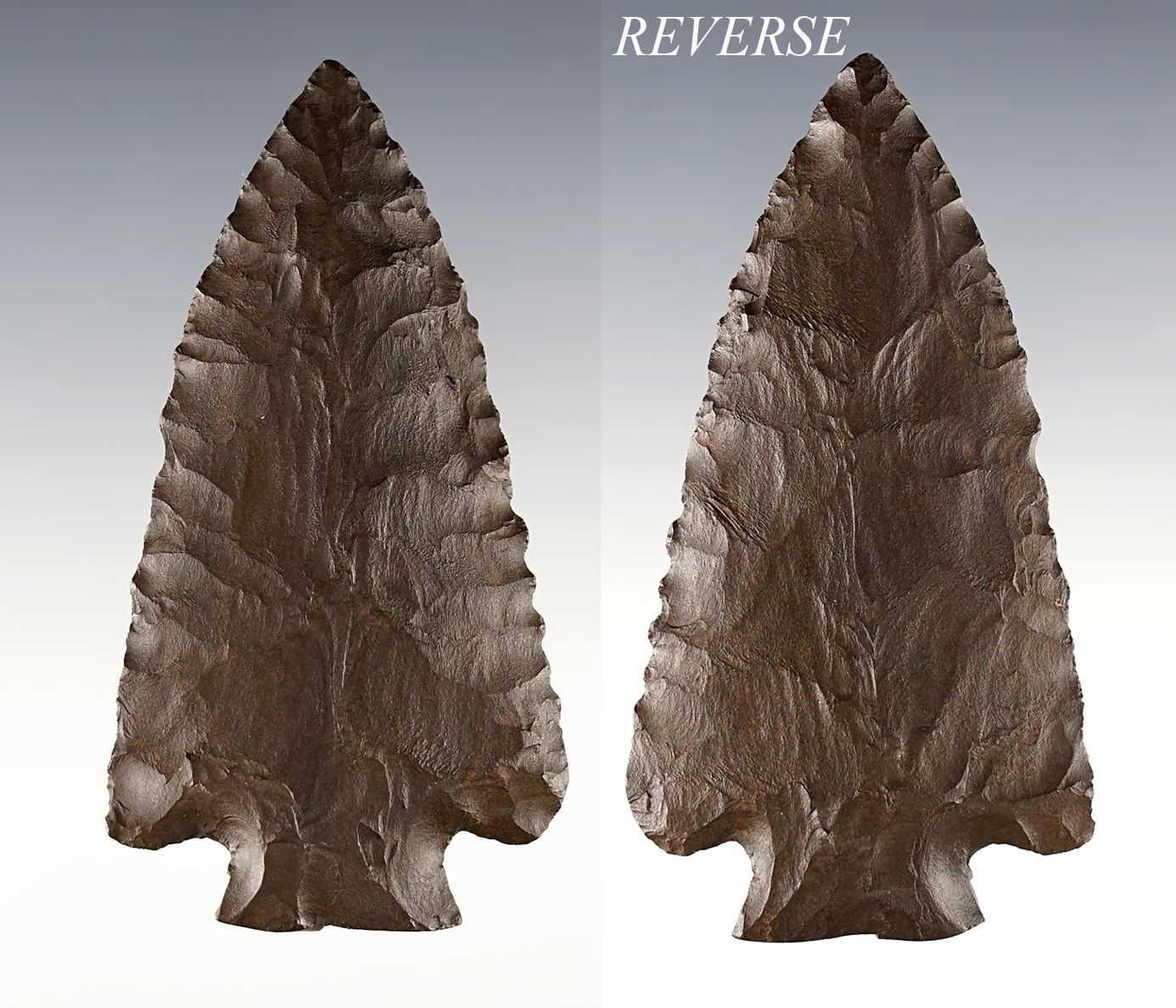 Main artifact image