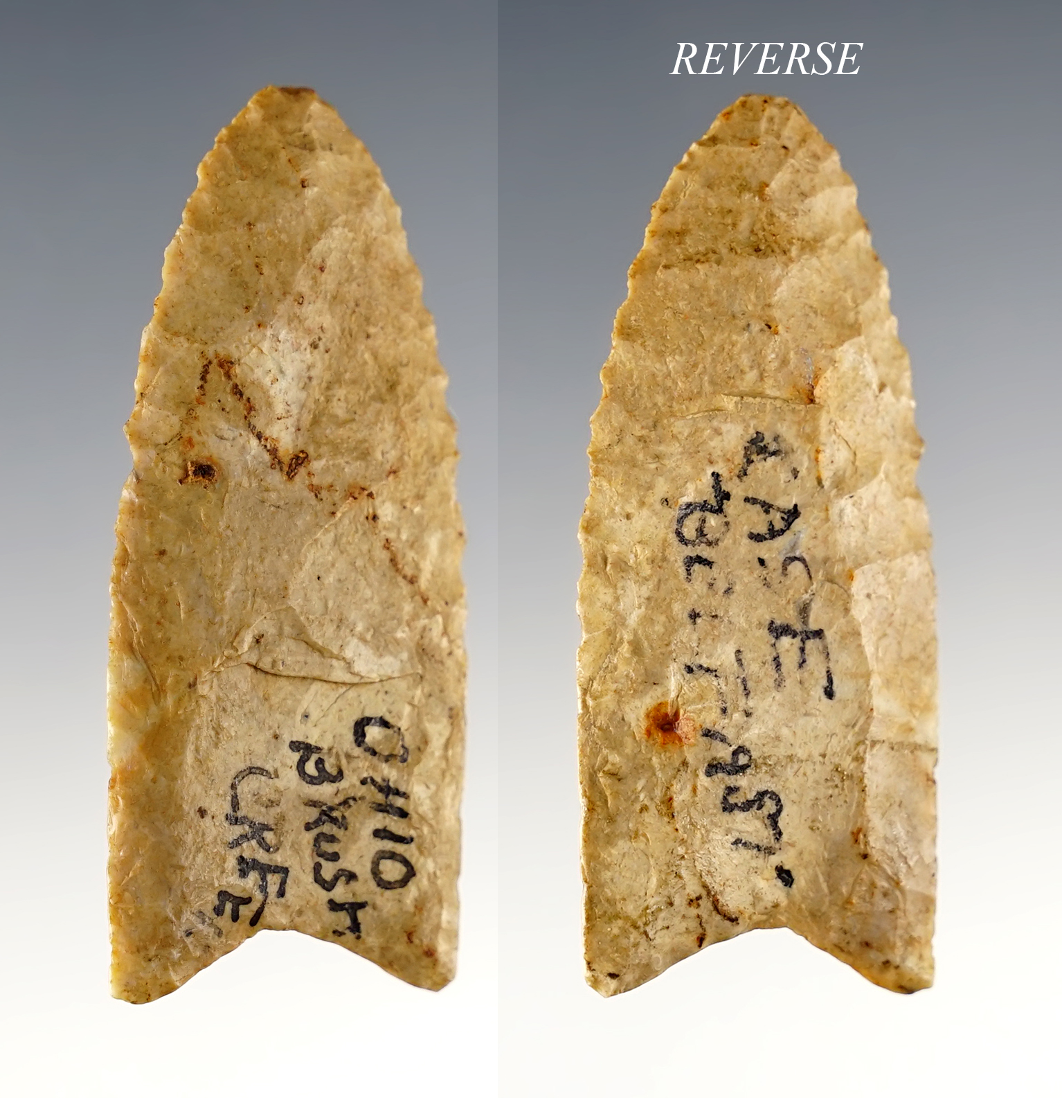 Main artifact image