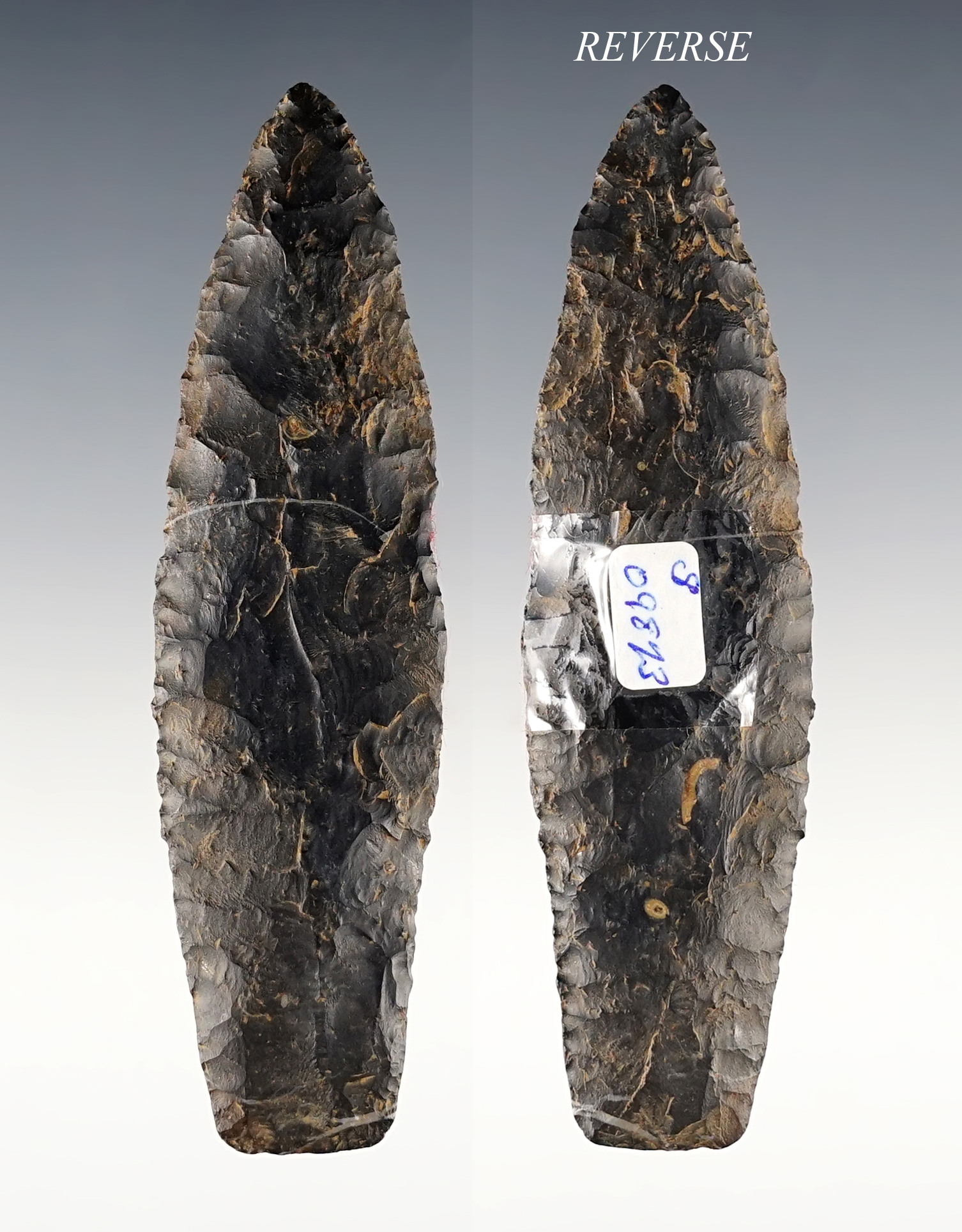 Main artifact image