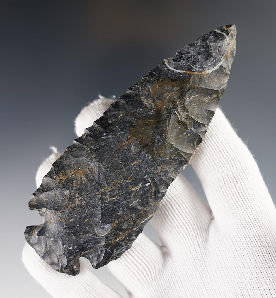 Main artifact image