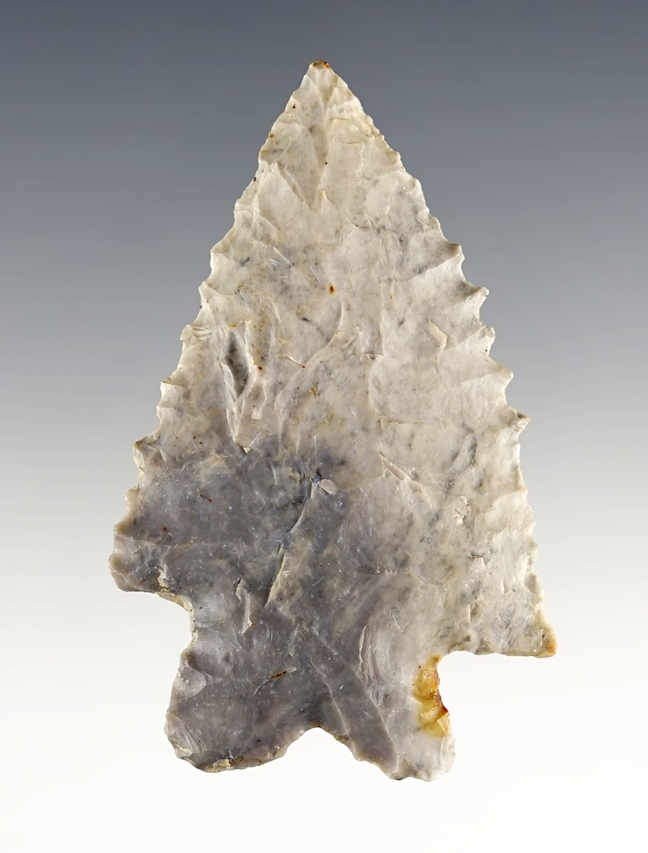 Main artifact image