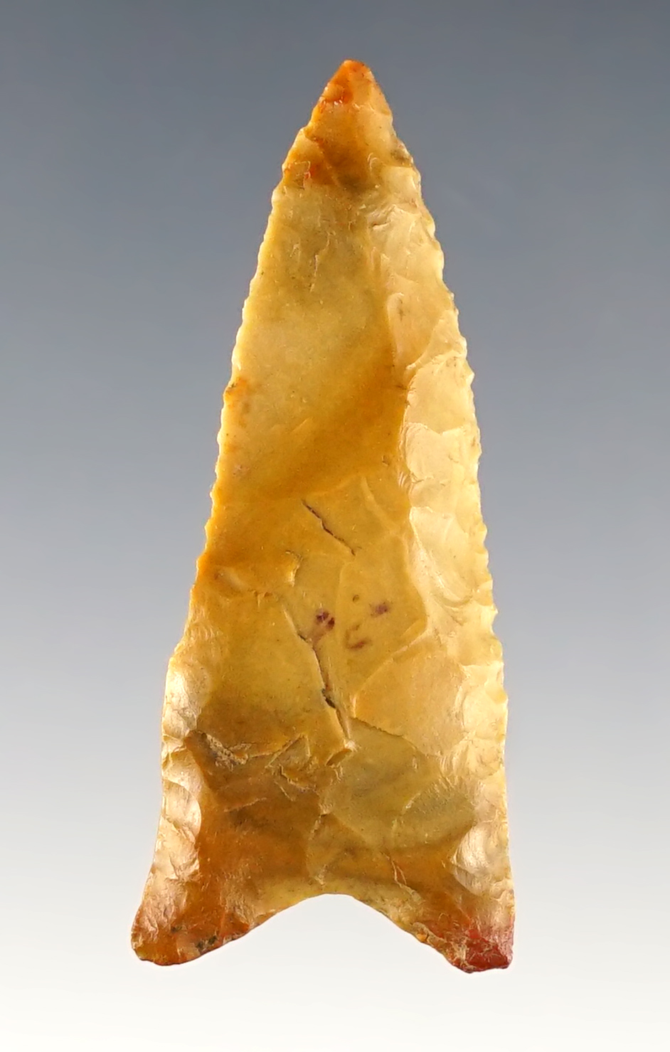 Main artifact image