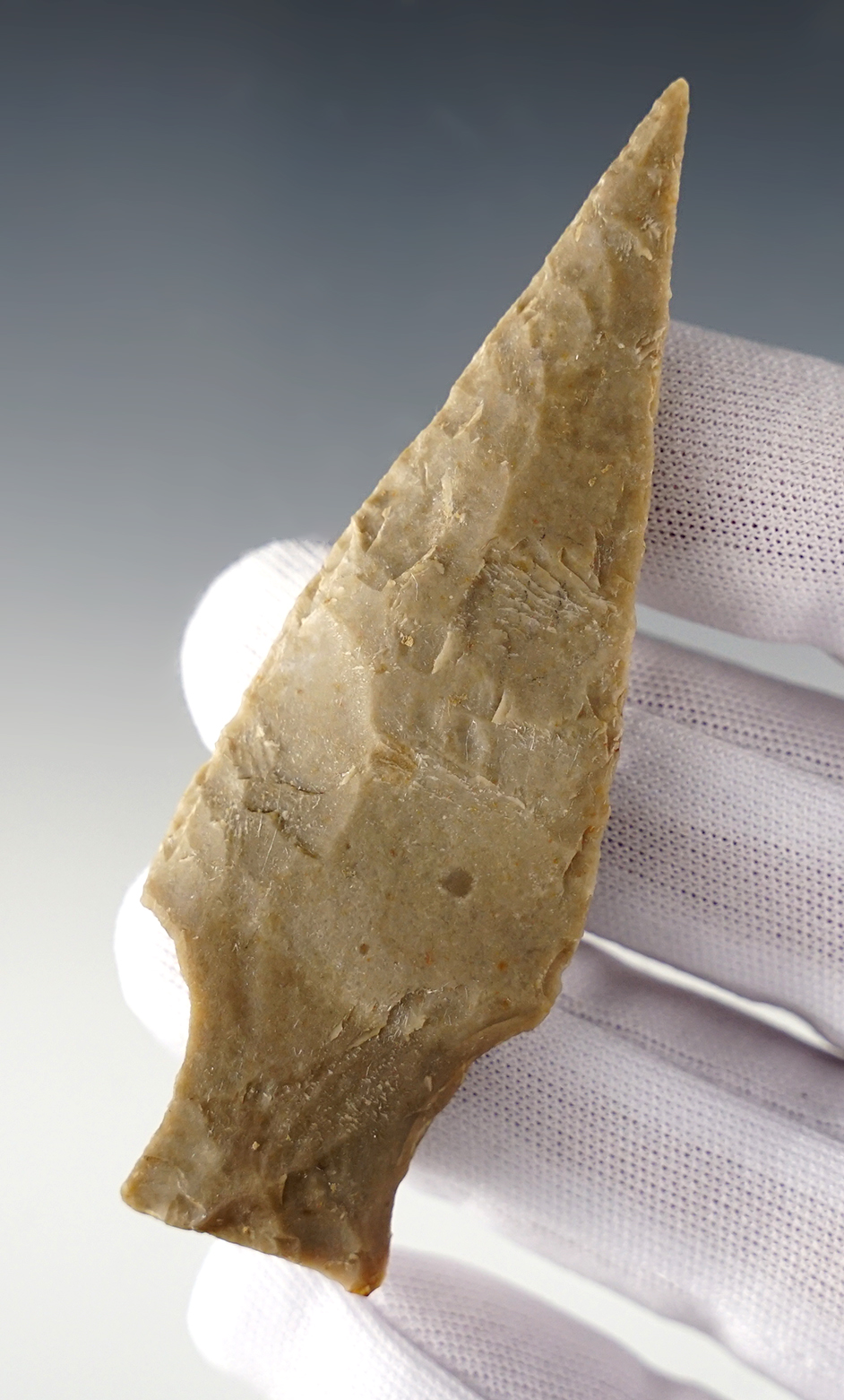 Main artifact image