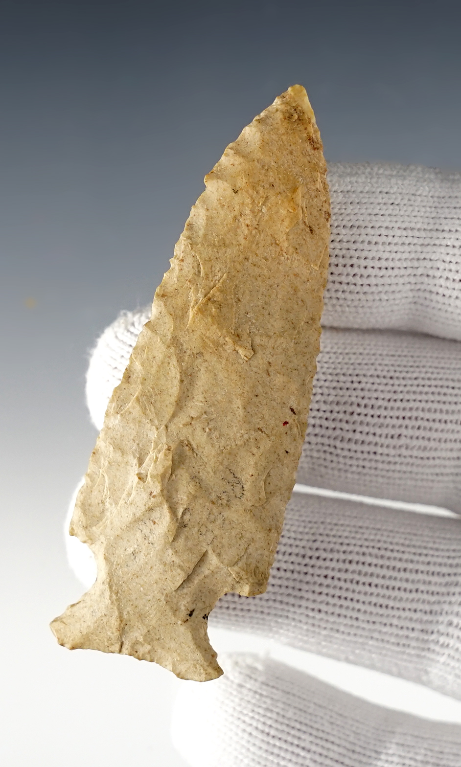 Main artifact image