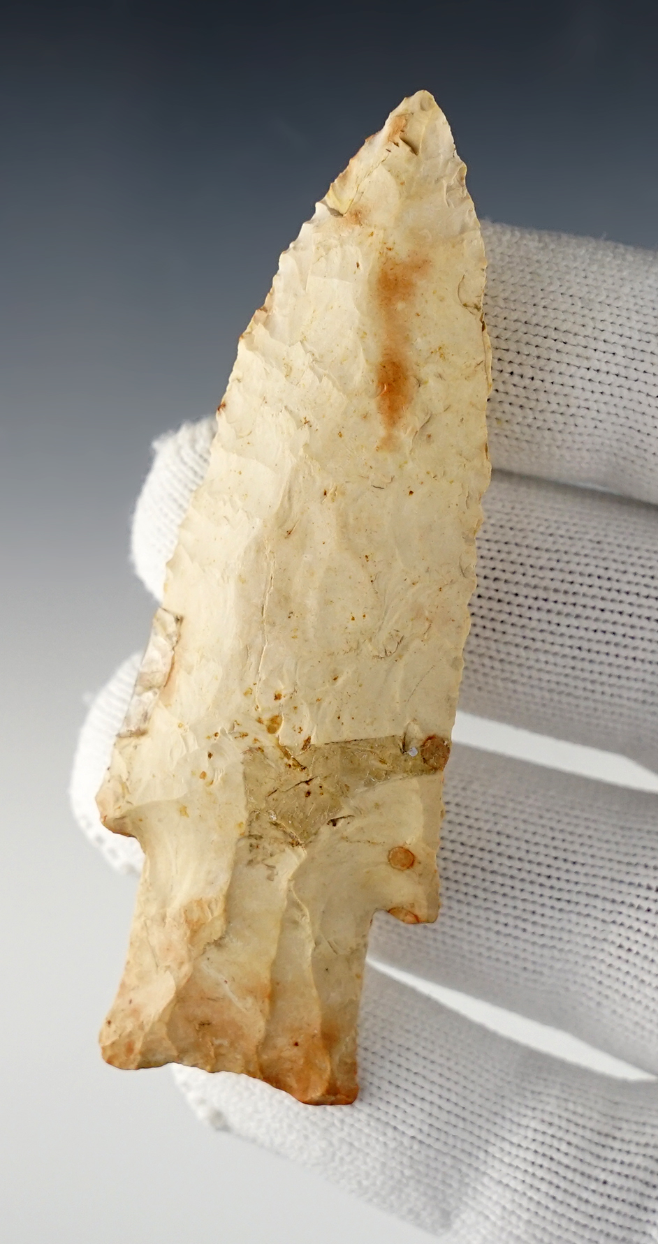 Main artifact image