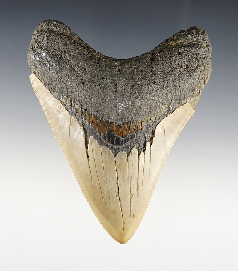 Main artifact image