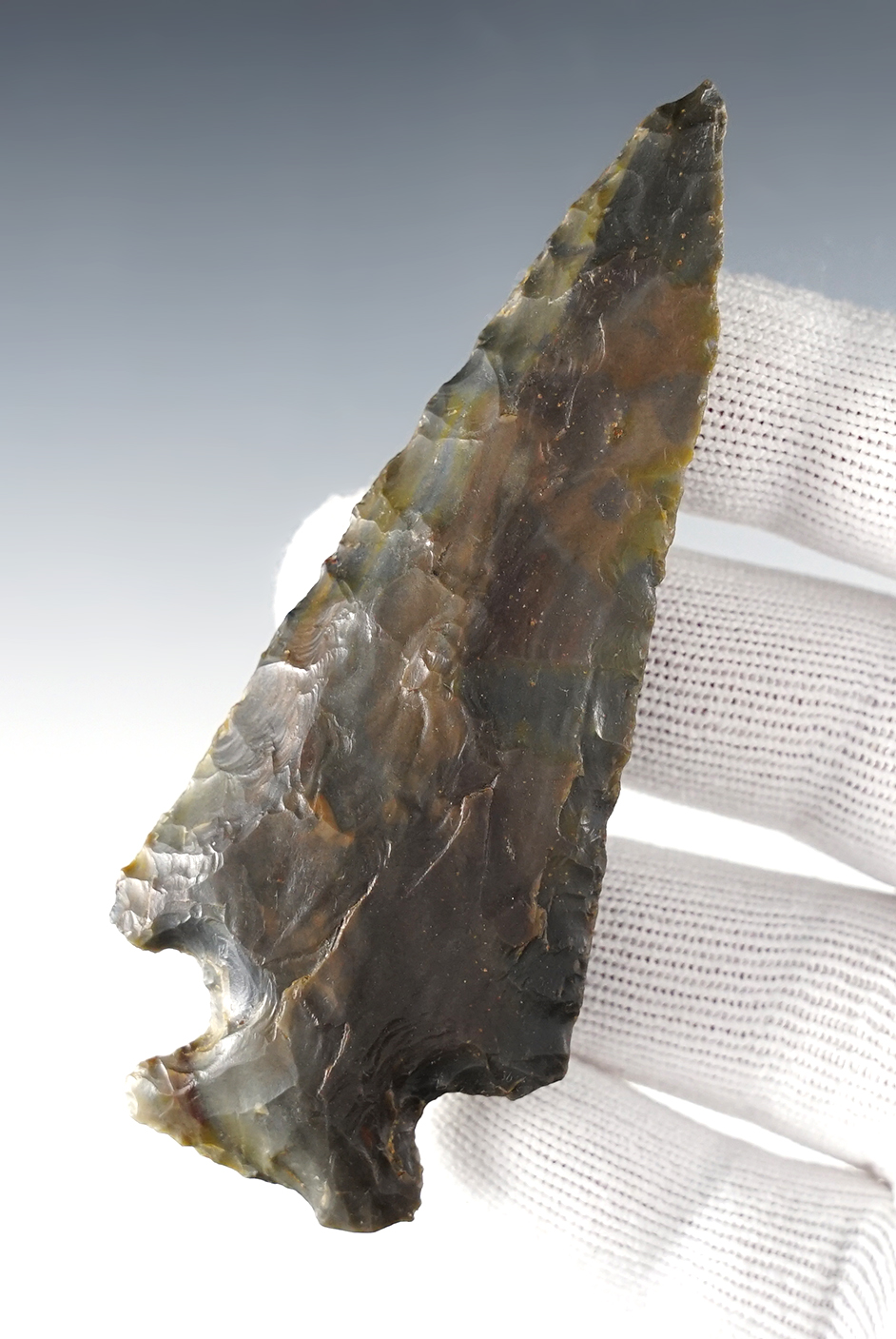 Main artifact image