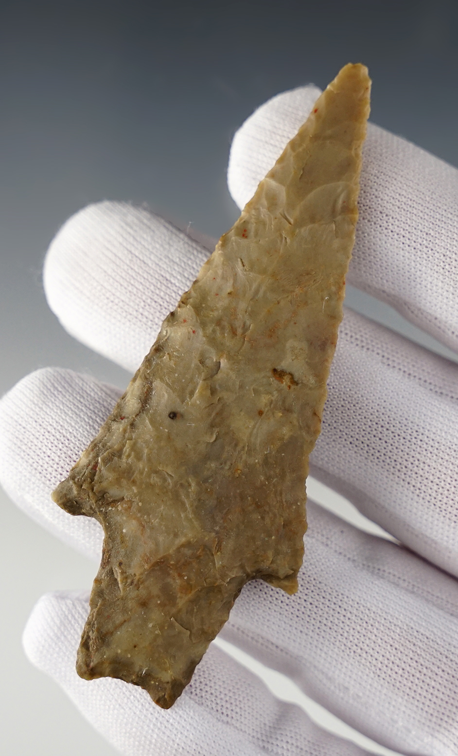 Main artifact image