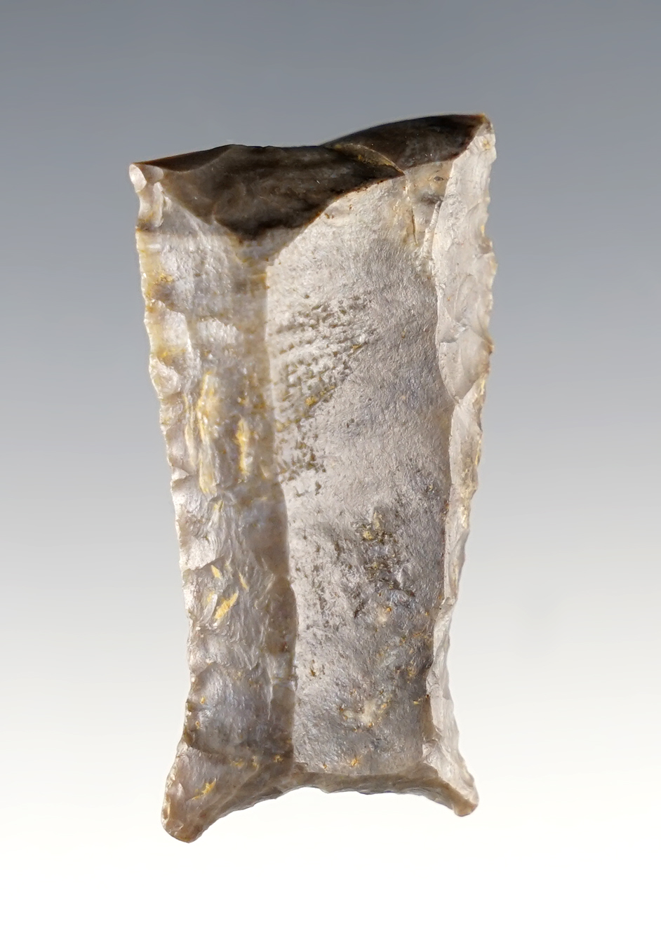 Main artifact image