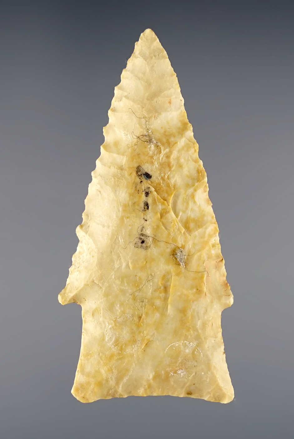 Main artifact image