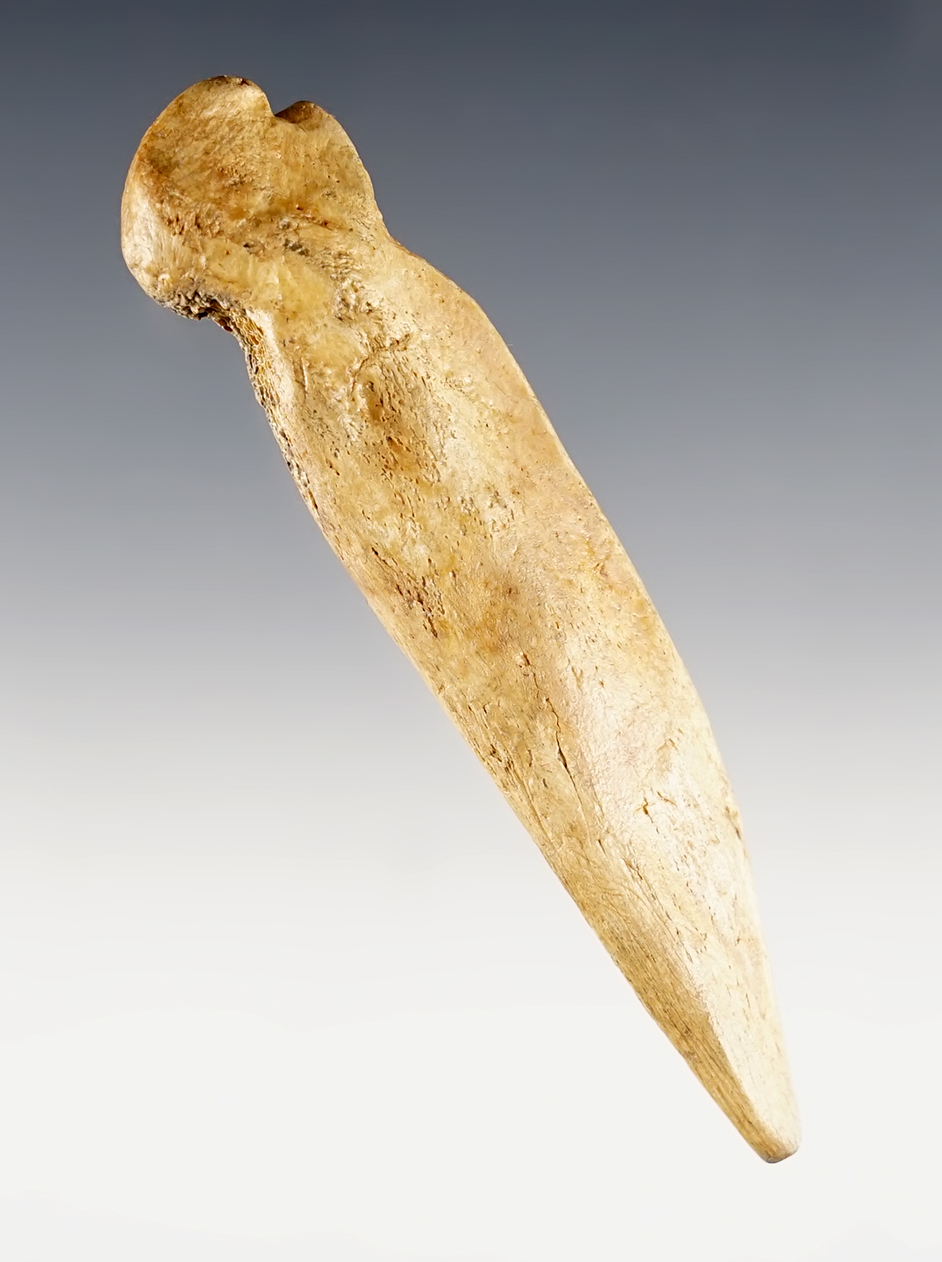 Main artifact image