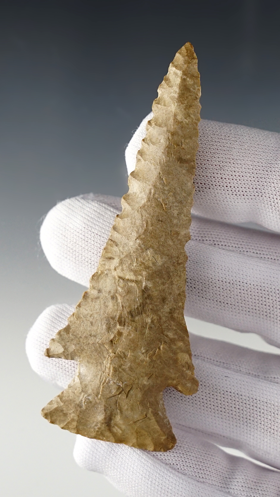 Main artifact image