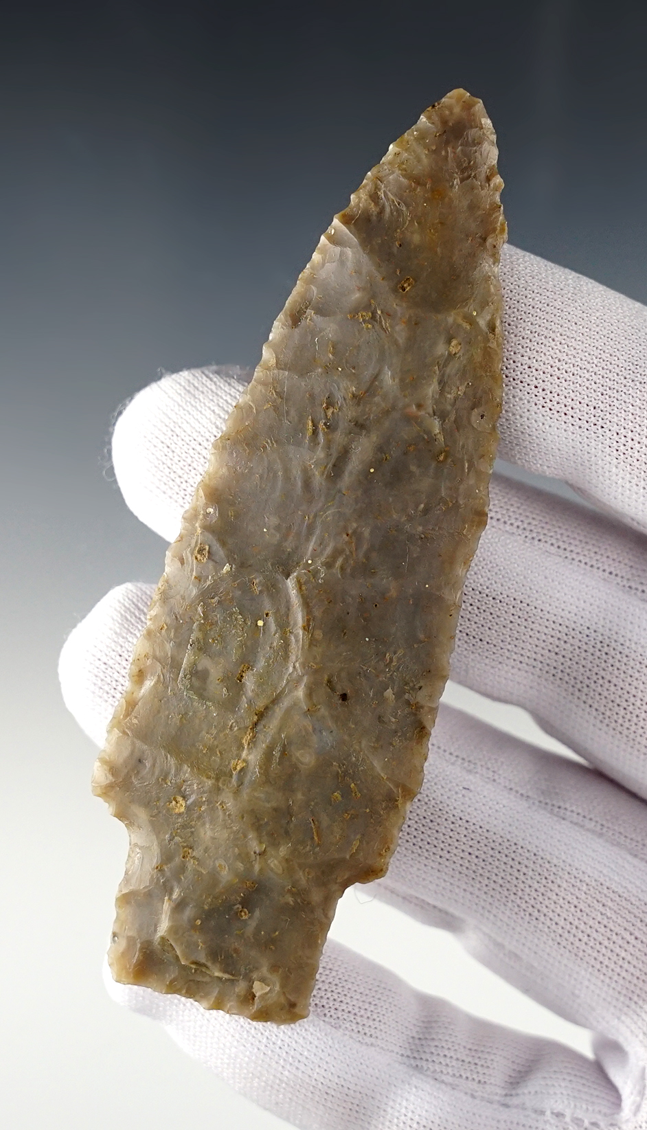 Main artifact image