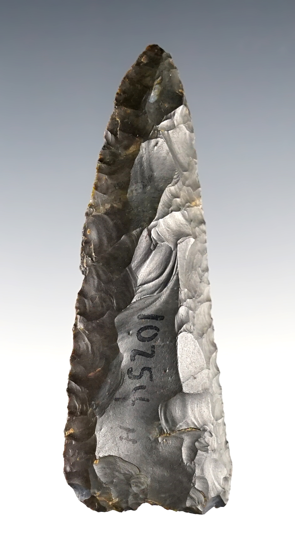 Main artifact image
