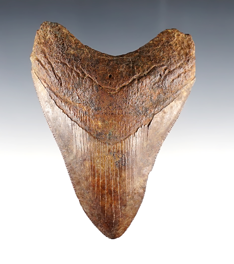 Main artifact image