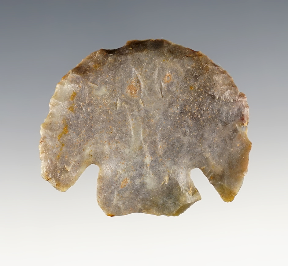 Main artifact image