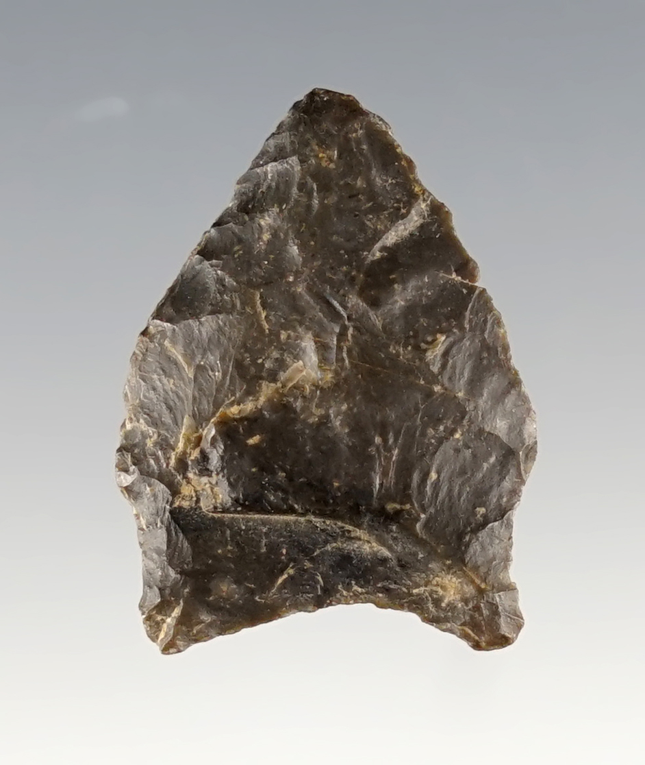 Main artifact image