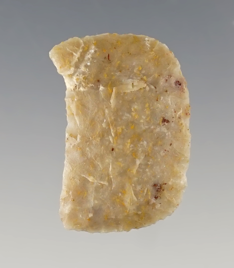 Main artifact image
