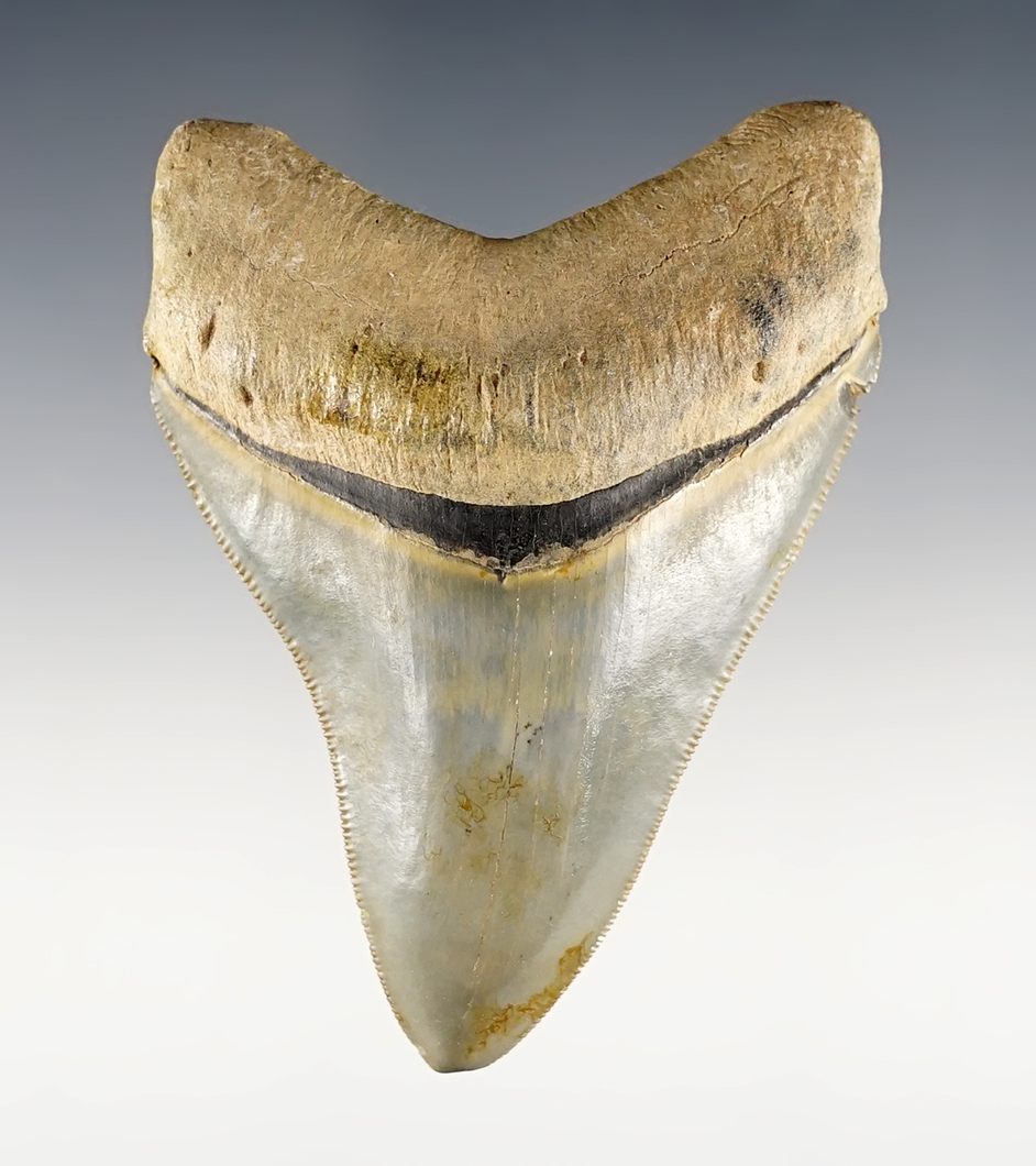 Main artifact image